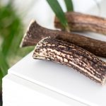 Hirschgeweih Kausnack ganz 9