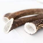 Hirschgeweih Kausnack ganz 10