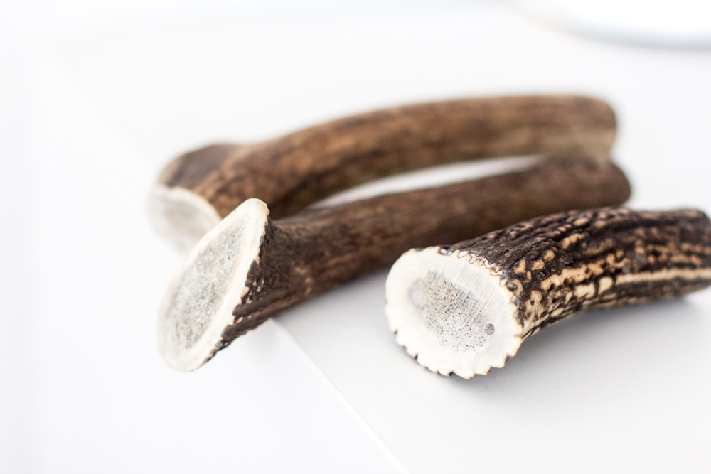 Hirschgeweih Kausnack ganz 5