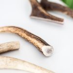 Hirschgeweih Kausnack ganz 7