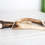 Hirschgeweih Kausnack ganz 8