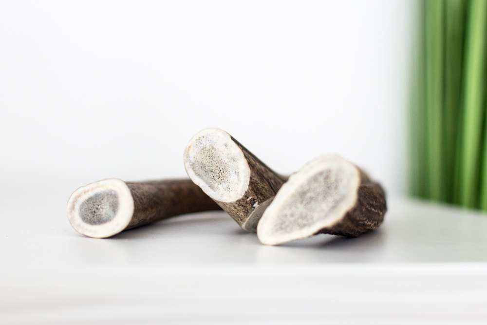 Hirschgeweih Kausnack XS 1