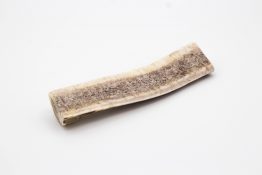 Geweihstangen_für_Hunde_Snack_Hundesnack_Kaustange-41