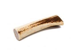 Geweihstangen_für_Hunde_Snack_Hundesnack_Kaustange_001