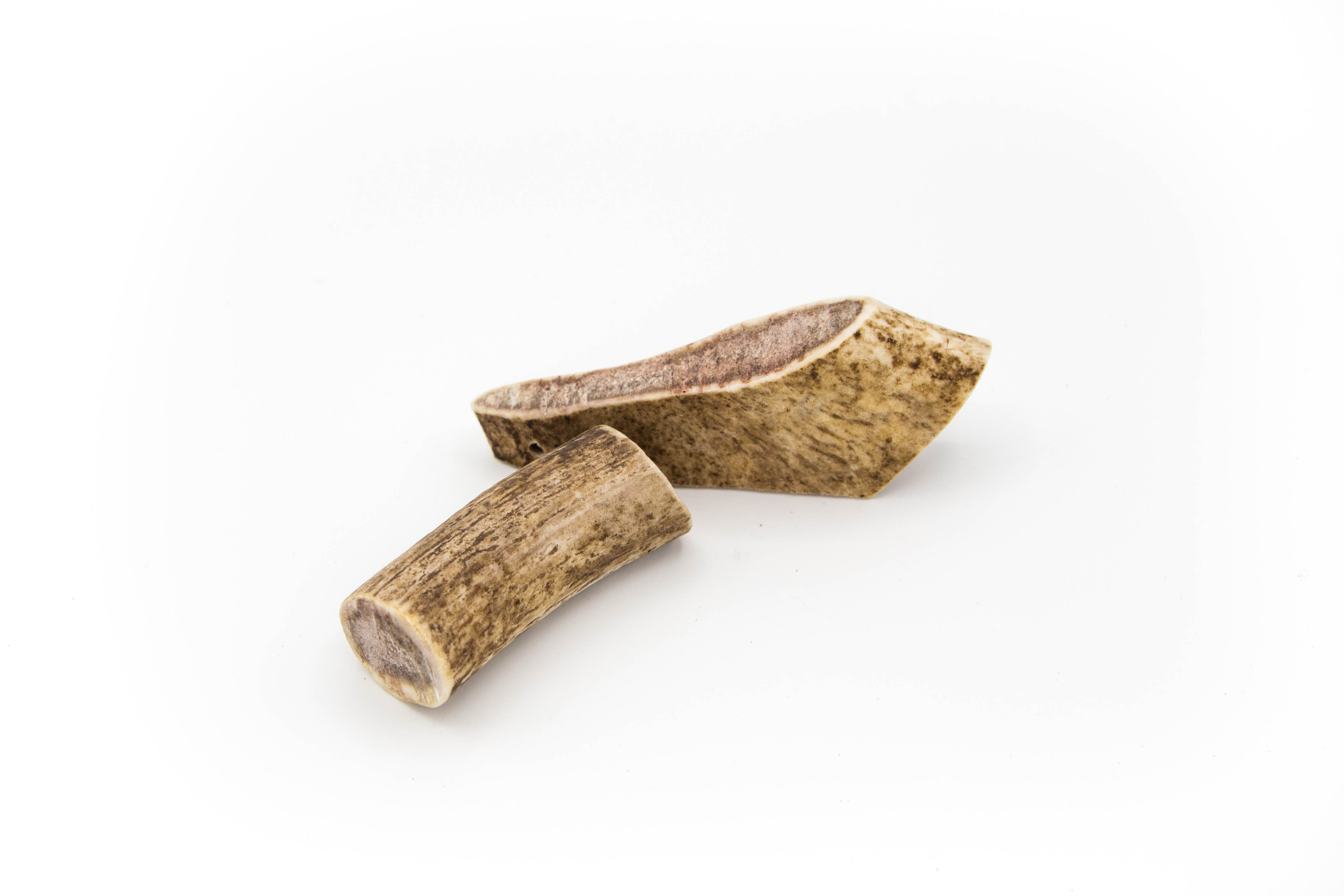 Geweihstangen_für_Hunde_Snack_Hundesnack_Kaustange_Damwild_Damhirsch_05 Damhirschgeweih Kausnack XS 1