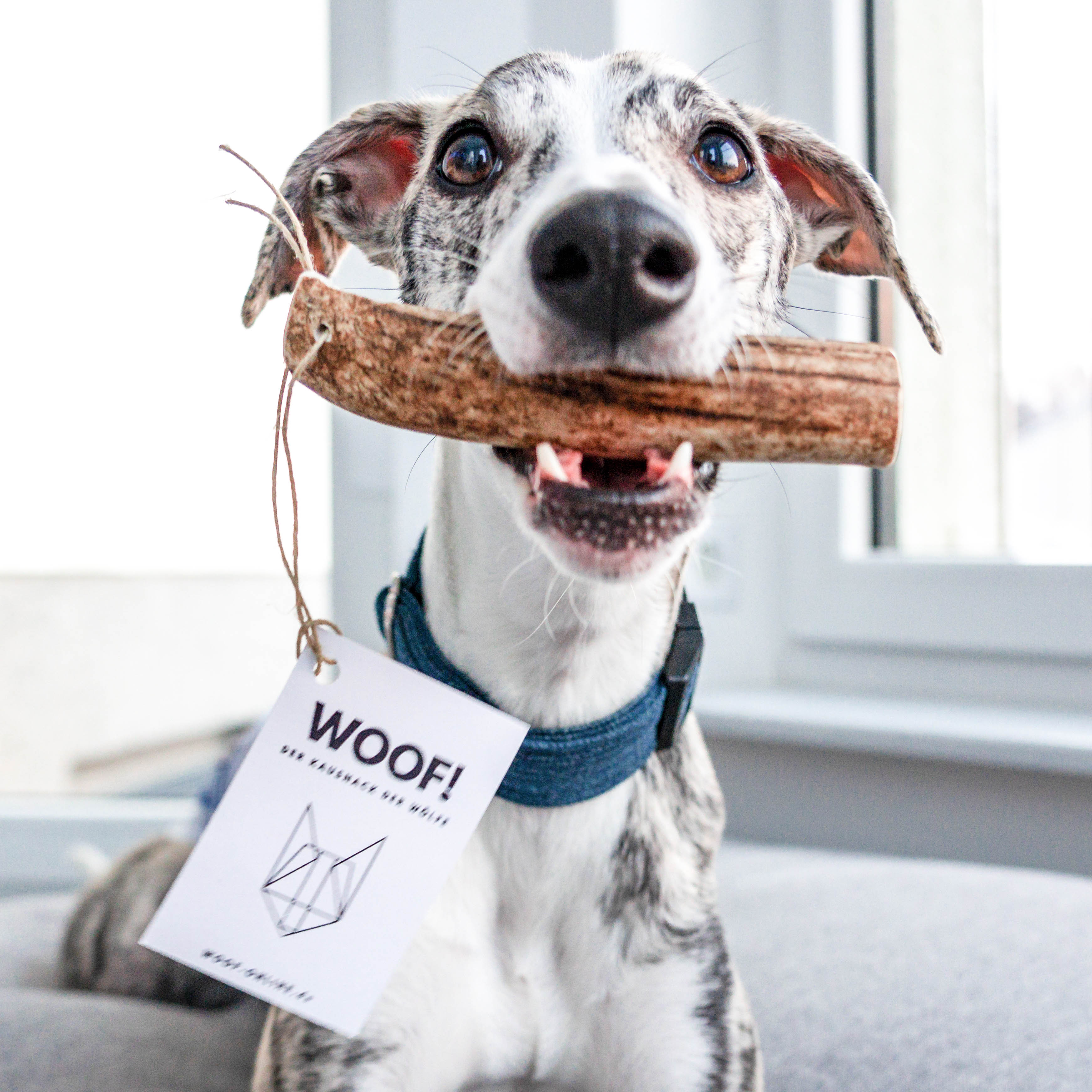 Hirschgeweih-Kausnack-Halbiert