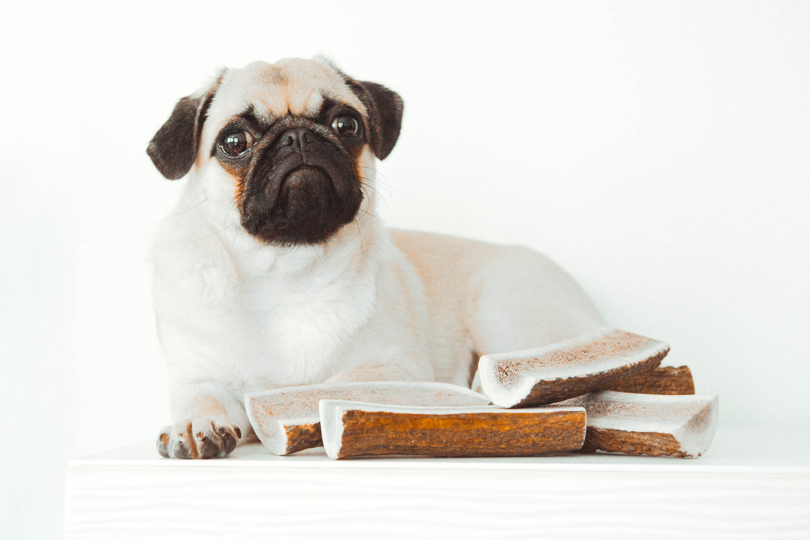 Hirschgeweih Kausnack halbiert 1