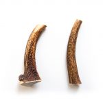 Hirchgeweih-Hund-Kausnack-ganz-1