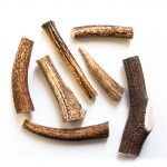 Hirchgeweih-Hund-Kausnack-ganz-11 Hirchgeweih-Hund-Kausnack-ganz-11