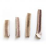 Hirchgeweih-Hund-Kausnack-halbiert-5