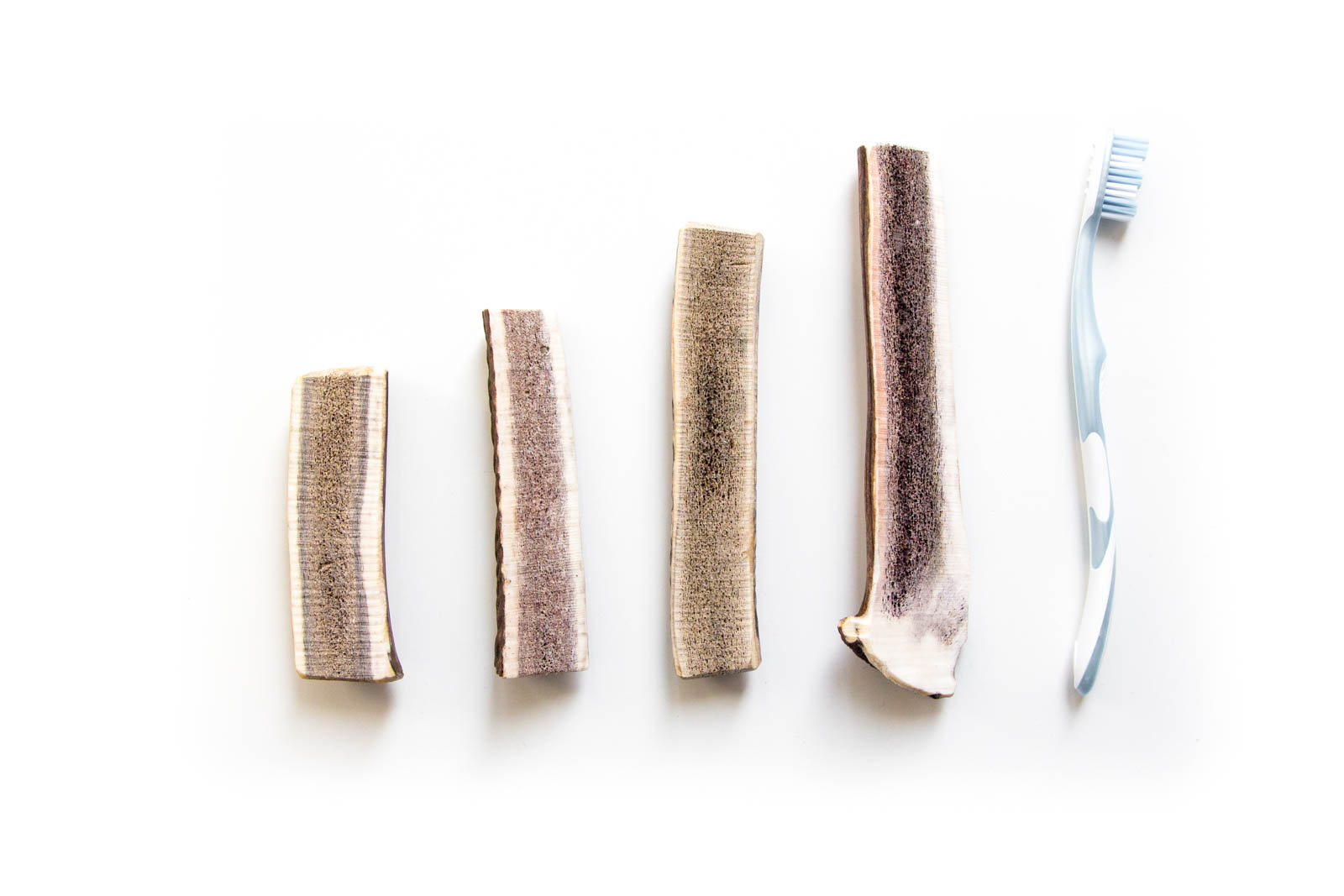 Hirchgeweih-Hund-Kausnack-halbiert-6