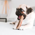 Hirschgeweih Kausnack halbiert 5