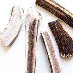 Hirchgeweih-Hund-natuerlicher-Kausnack-halbiert-4