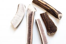 Hirchgeweih-Hund-natuerlicher-Kausnack-halbiert-4